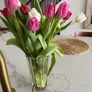 Meet your Posher, Izabela